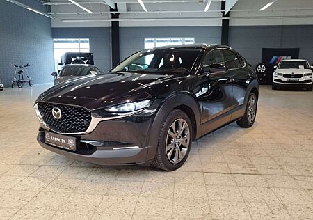 Mazda CX-3 0 Edition 100 Navi Kamera Leder Head-UP Bose