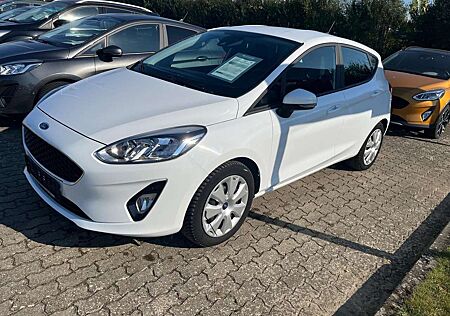 Ford Fiesta Cool & Connect WinterP