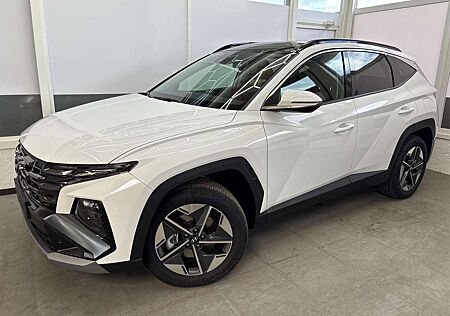 Hyundai Tucson PREMIUM PANO SHZ v+h 18 ALU 1.6 T-GDi PHEV 2WD ...