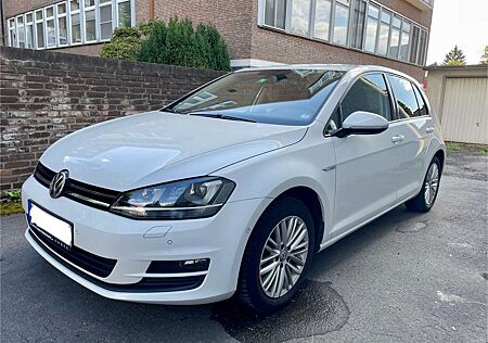 VW Golf Volkswagen Cup BMT