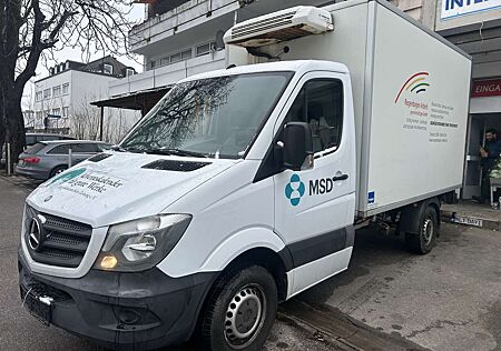 Mercedes-Benz Sprinter 313 CDI Koffer Kühlung Lift