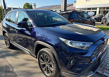 Toyota RAV 4 2.5 Hybrid Team D 4x4 *AHK *Webasto