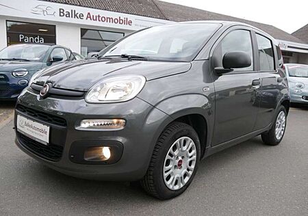 Fiat Panda Easy 1.2 *Klima*wenig km!*TOP gepflegt!*
