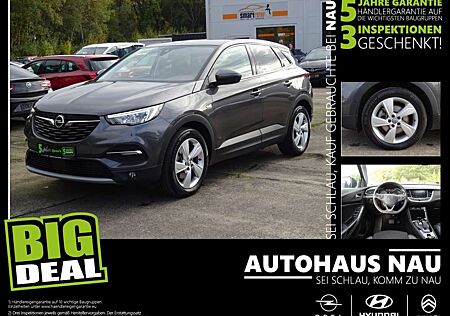 Opel Grandland X Hybrid Elegance InspektionspaketBigDeal