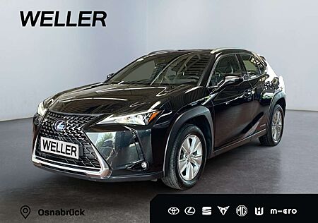 Lexus UX 250h Business Edition *ACC*Kamera*CarPlay*SHZ*