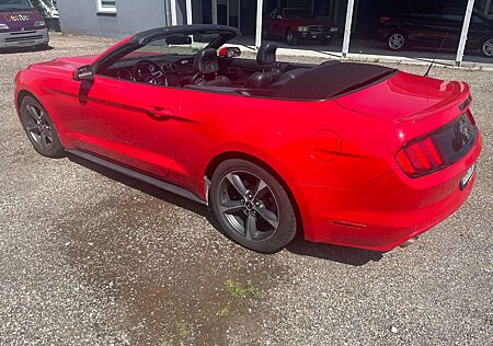 Ford Mustang Cabrio 3.7 V6 Leder,18 Zoll,Tüv neu