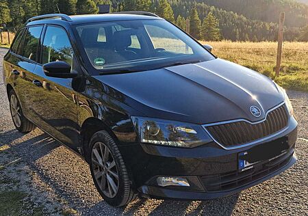 Skoda Fabia Combi 1.4 TDI Clever | Navi Sitzhz. W-Reifen