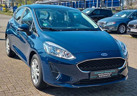 Ford Fiesta 1.0 EcoBoost/Navi/AppleCar/PDC/Garantie