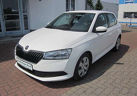 Skoda Fabia Ambition+AHK+SHZ+KLIMAAUTOM.+DAB+EINPARKHI