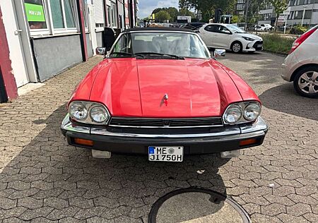 Jaguar XJS H-Zulassung