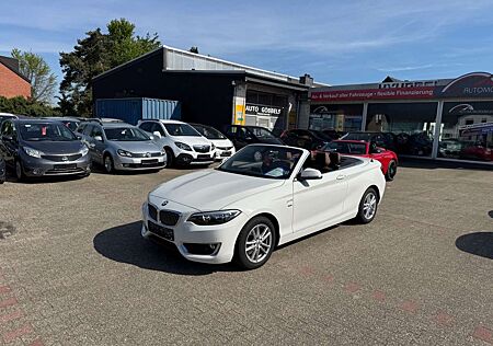 BMW 220 i Cabrio Luxury Line LEDER Navi PDC