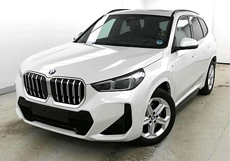 BMW X1 xDrive 23i M Sportpaket Pano ACC eSitzeMemory
