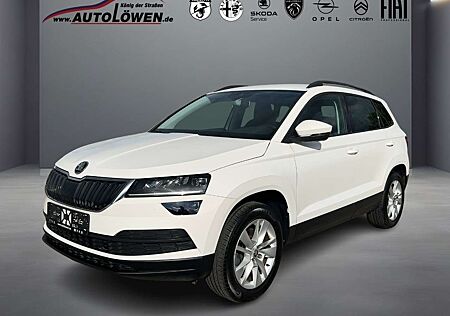 Skoda Karoq Navigationssystem Rückfahrkamera