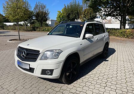 Mercedes-Benz GLK 220 gebraucht kaufen Mercedes-Benz GLK 220 CDI BlueEFFICIENCY