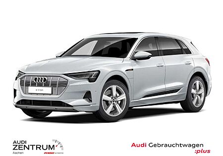 Audi e-tron 50 quattro Navi*Pano*Leder*SHZ*VC