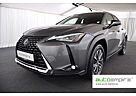 Lexus UX 300e 300e Komfort-Paket LED/CAR-PLAY/KAMERA/17