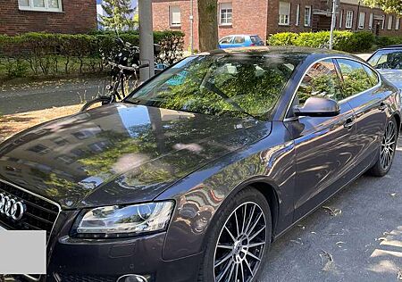 Audi A5 3.0 TDI Sportback quattro DPF S tronic (290 PS)