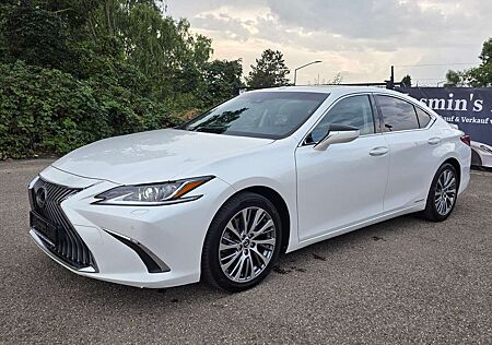 Lexus ES 300 300H Hybrid Executive Leder Sitz-Belüftung Kama