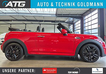 Mini Cooper Cabrio COOPER CABRIOLET JCW PAKET SHZ PDC CONNECTMEDIA