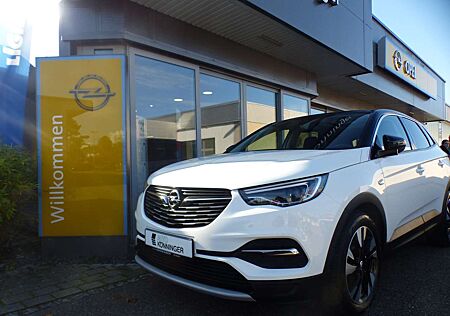 Opel Grandland X Innovation Panorama-Dach, AHK, Navi,...