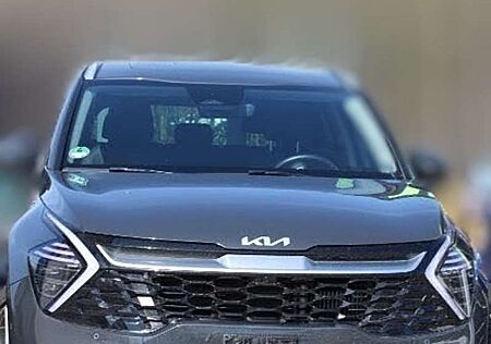 Kia Sportage 1.6 T-GDI AWD Plug-in Hybrid Paket Spirit