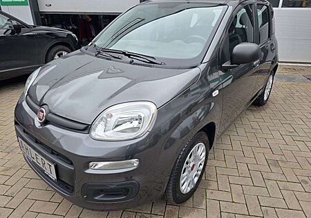 Fiat Panda Easy Klima EFH TOP !