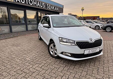 Skoda Fabia 1.0 TSI DSG Ambition*15"ALU*KLIMA*