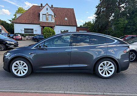 Tesla Model X 100D*SOH89%*MCU2*Winter*LuftF