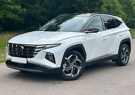 Hyundai Tucson 1.6 T-GDI 48V Prime *Totwinkl*ACC*AHK*360