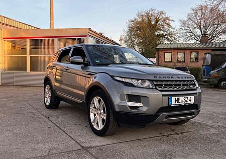 Land Rover Range Rover Evoque TD4 Aut. Pure