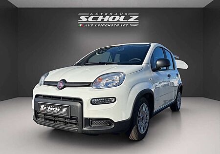 Fiat Panda MY24 Hybrid 1.0 GSE 51kw