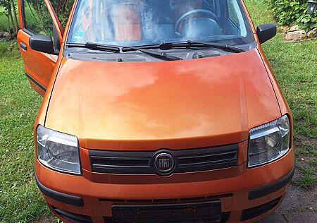 Fiat Panda 1.2 Emotion