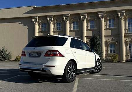 Mercedes-Benz ML 350 BlueTEC 4MATIC 7G-TRONIC panorama