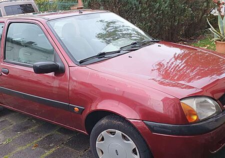 Ford Fiesta gebraucht kaufen Ford Fiesta