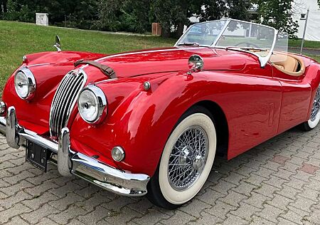 Jaguar XK OTS