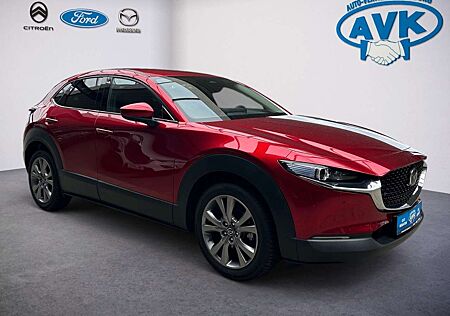 Mazda CX-30 Exclusive-Line , 360° Kamera