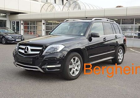 Mercedes-Benz GLK 220 CDI 4Matic (BlueEFFICIENCY) 7G-TRONIC