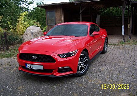 Ford Mustang gebraucht kaufen Ford Mustang 3,7 Liter, V6