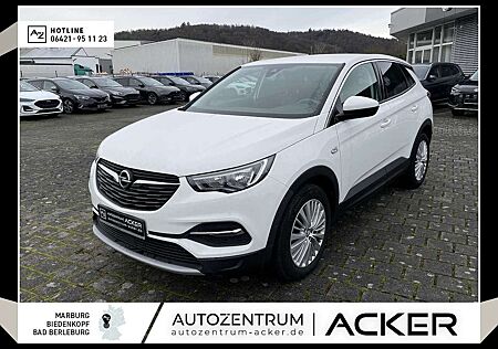 Opel Grandland X 1.2 Turbo Dynamic PDC/RFK