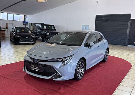 Toyota Corolla Hybrid Team D