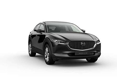 Mazda CX-30 2.5L e-SKYACTIV G 140ps 140PS Takumi