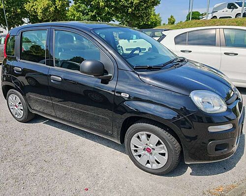 Fiat New Panda Easy 1.2 8V Klima-AW-ZV-el. FH-NSW