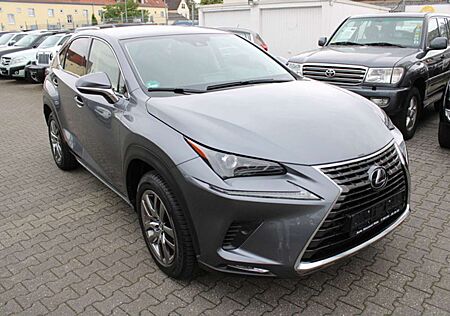 Lexus NX 300 h E-Four Executive Line *Navi*Leder*8-fach bereift