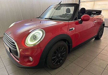 MINI Cooper Cabrio Chili KAMERA BI-XENON TEILLEDER