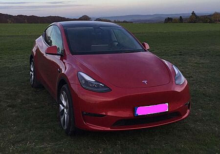 Tesla Model Y Long Range Dual Motor AWD