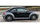 VW Beetle Volkswagen Individual ( einmalig )
