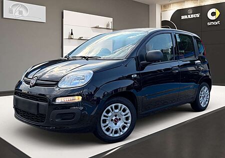 Fiat Panda Base Klimaanlage 8.Fach Bereift