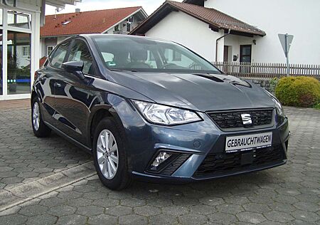 Seat Ibiza Style