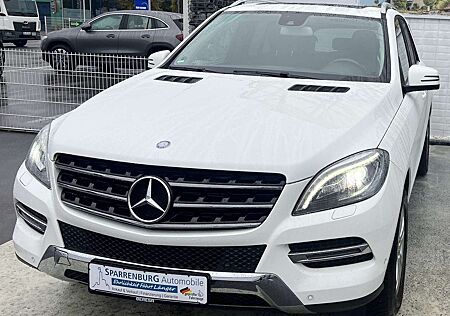 Mercedes-Benz ML 350 CDI BlueTec| Ambiente-Beleuchtung