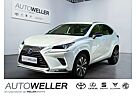 Lexus NX 300 NX 300h Style Edition *Premium-Navi*CarPlay*LED*